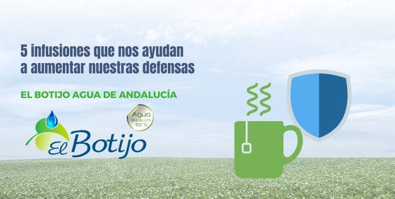 Infusiones para aumentar defensas