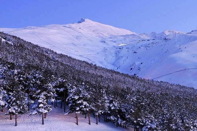 sierra nevada manantial