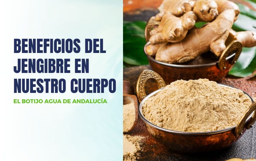 Beneficios del jengibre en nuestro cuerpo