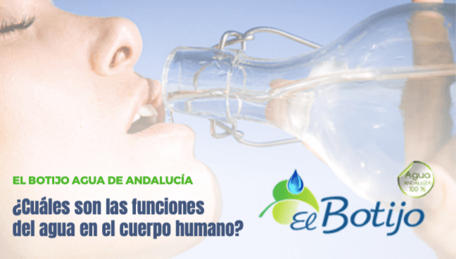 funciones del agua en el cuerpo humano