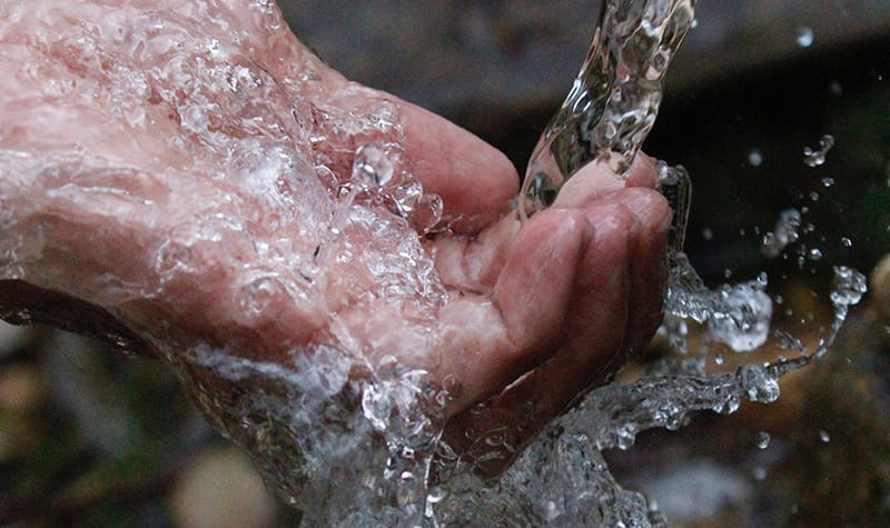 cuando y que agua beber