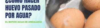 Huevo pasado por agua