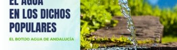 El agua en los dichos populares