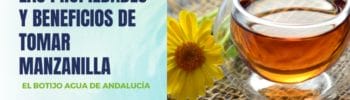 Propiedades de la manzanilla