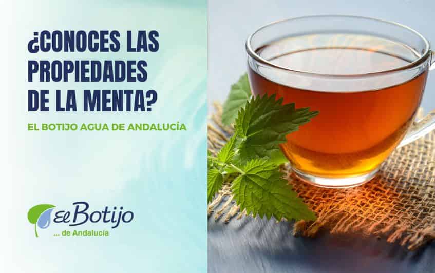 Propiedades de la menta