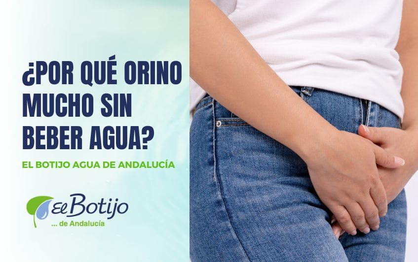 Por qué se orina mucho sin beber agua