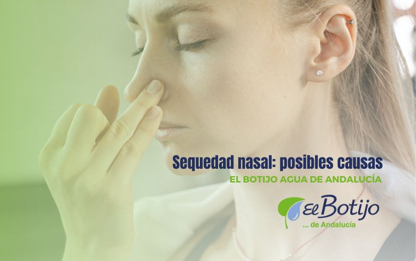 Posibles causas de la sequedad nasal
