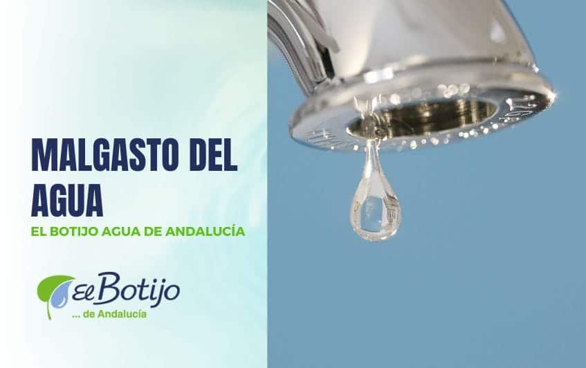Malgasto del agua: formas de evitar despilfarrar agua