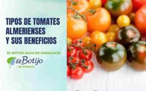 tipos-tomate-almería