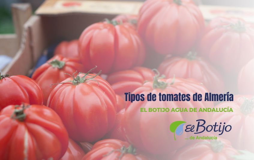 Tipos de tomates de Almería