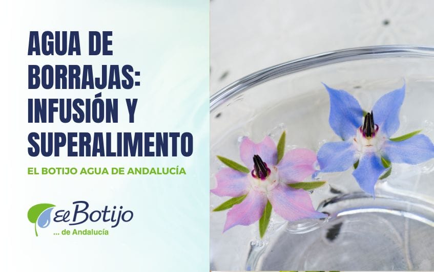 Agua de borrajas infusión y superalimento