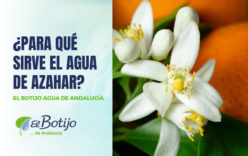 Para qué sirve el agua de azahar? ¡Te lo contamos!