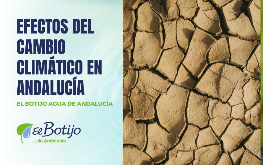 Efectos del cambio climático en Andalucía