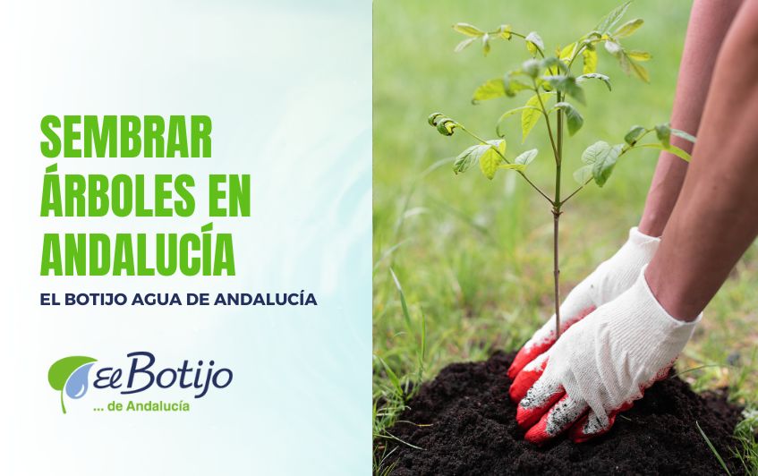 Sembrar árboles en Andalucía