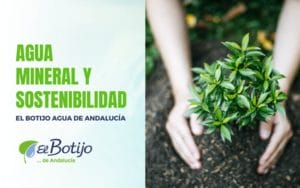 Agua mineral y sostenibilidad