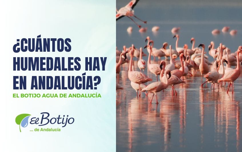 Humedales Andalucía
