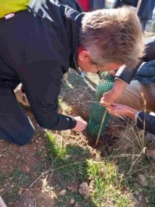 reforestando el monte