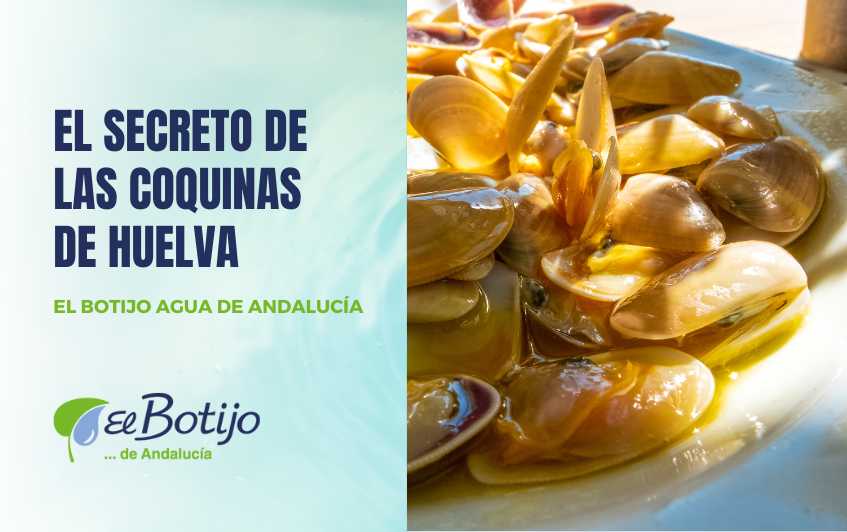 como-cocinar-coquinas-huelva