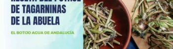 potaje-tagarninas-recetas