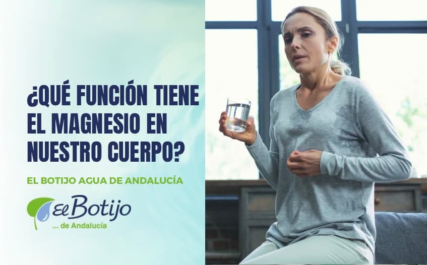 para-que-sirve-magnesio-cuerpo-humano