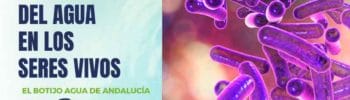 funcion-agua-seres-vivos