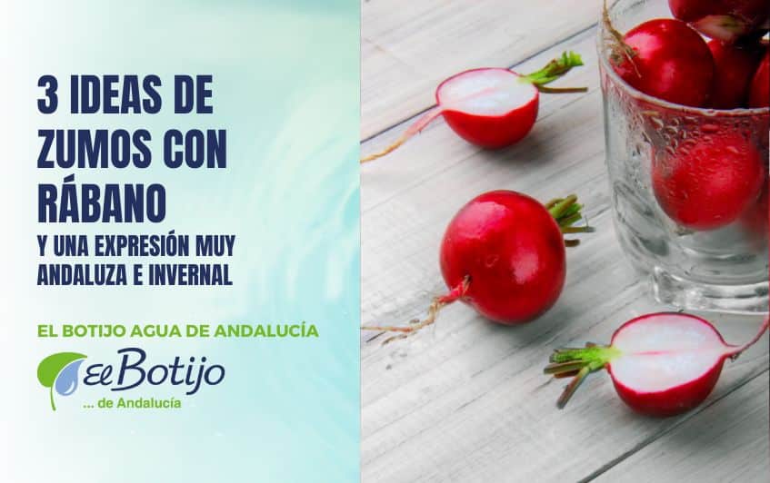 ideas-zumo-rabano