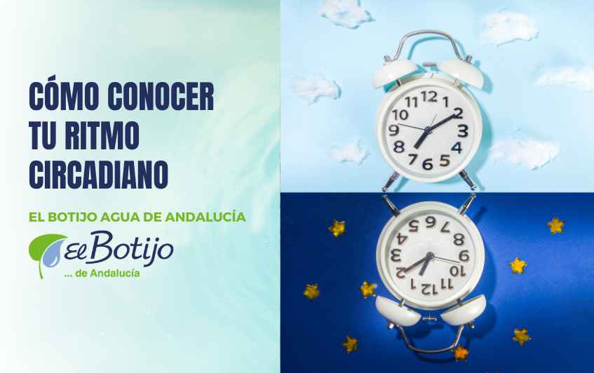 conocer-ritmo-circadiano