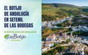dispensador-agua-setenil-bodegas